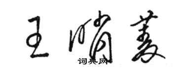 駱恆光王哨菱草書個性簽名怎么寫