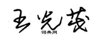朱錫榮王光茂草書個性簽名怎么寫