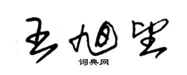 朱錫榮王旭望草書個性簽名怎么寫