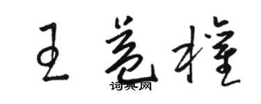 駱恆光王益權草書個性簽名怎么寫