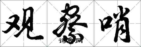 胡問遂觀察哨行書怎么寫