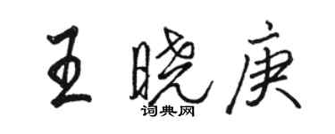 駱恆光王曉庚行書個性簽名怎么寫