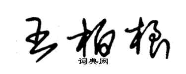 朱錫榮王柏根草書個性簽名怎么寫