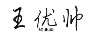 駱恆光王優帥行書個性簽名怎么寫