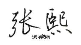 駱恆光張熙行書個性簽名怎么寫