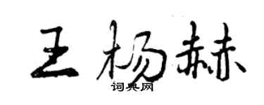 曾慶福王楊赫行書個性簽名怎么寫
