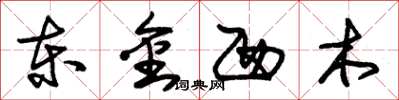朱錫榮東金西木草書怎么寫
