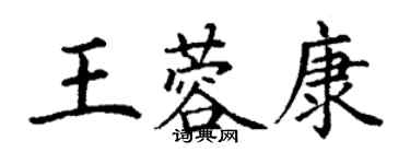 丁謙王蓉康楷書個性簽名怎么寫