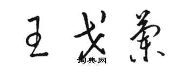 駱恆光王戈蘭草書個性簽名怎么寫