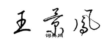 梁錦英王景鳳草書個性簽名怎么寫