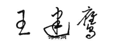 駱恆光王建鷹草書個性簽名怎么寫