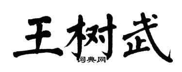 翁闓運王樹武楷書個性簽名怎么寫