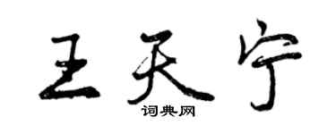 曾慶福王天寧行書個性簽名怎么寫