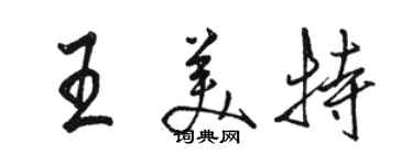 駱恆光王美特行書個性簽名怎么寫