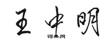 駱恆光王中明行書個性簽名怎么寫