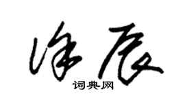 朱錫榮徐辰草書個性簽名怎么寫