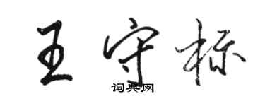 駱恆光王守標行書個性簽名怎么寫