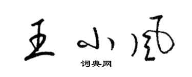 梁錦英王小風草書個性簽名怎么寫