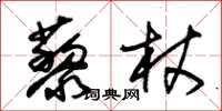 朱錫榮藜杖草書怎么寫