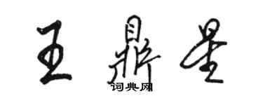 駱恆光王鼎星行書個性簽名怎么寫