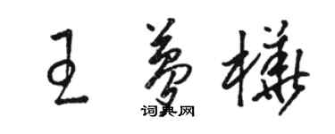 駱恆光王夢樺草書個性簽名怎么寫