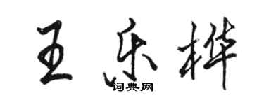 駱恆光王樂樺行書個性簽名怎么寫