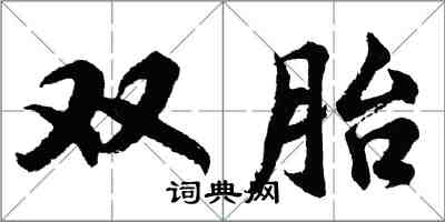 胡問遂雙胎行書怎么寫