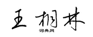梁錦英王桐林草書個性簽名怎么寫
