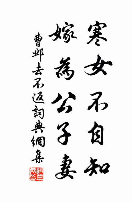 啖菜貧猶健,簪花老自羞 詩詞名句