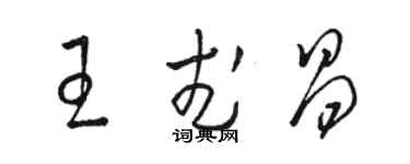 駱恆光王武昌草書個性簽名怎么寫