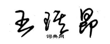 朱錫榮王琪昂草書個性簽名怎么寫