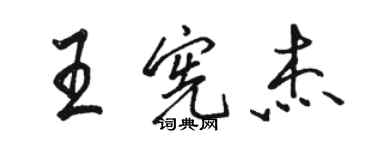 駱恆光王憲傑行書個性簽名怎么寫