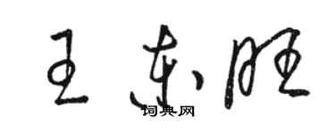 駱恆光王東旺草書個性簽名怎么寫