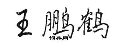 駱恆光王鵬鶴行書個性簽名怎么寫