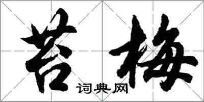 胡問遂苔梅行書怎么寫