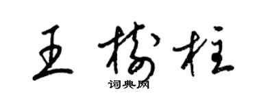 梁錦英王樹柱草書個性簽名怎么寫