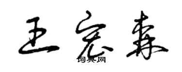 曾慶福王宏森草書個性簽名怎么寫