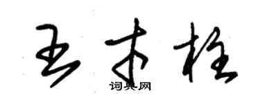 朱錫榮王才柱草書個性簽名怎么寫