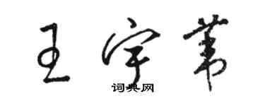 駱恆光王宇葦草書個性簽名怎么寫