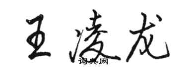 駱恆光王凌龍行書個性簽名怎么寫