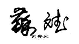 朱錫榮蘇斌草書個性簽名怎么寫