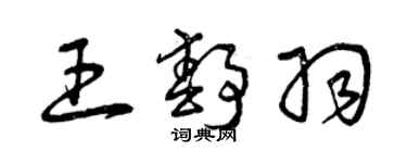 曾慶福王靜羽草書個性簽名怎么寫