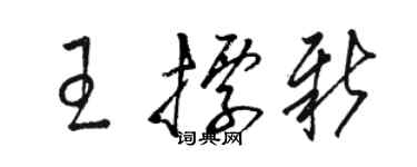 駱恆光王標新草書個性簽名怎么寫