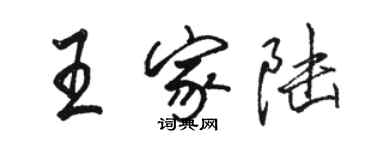 駱恆光王家陸行書個性簽名怎么寫