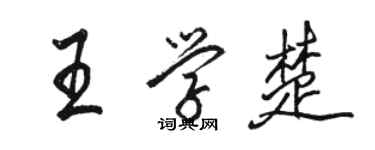 駱恆光王學楚行書個性簽名怎么寫