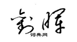 梁錦英劉暉草書個性簽名怎么寫