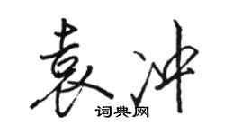 駱恆光袁沖行書個性簽名怎么寫