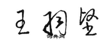 駱恆光王羽堅草書個性簽名怎么寫