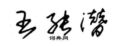 朱錫榮王能潛草書個性簽名怎么寫