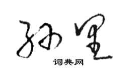 駱恆光孫里草書個性簽名怎么寫